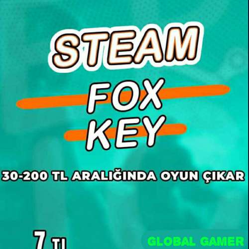  STEAM 30 TL ÜZERİ OYUN GARANTİLİ RANDOM KEY